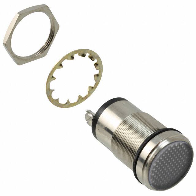5561004304FDialight