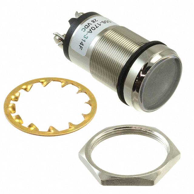 556170A314FDialight