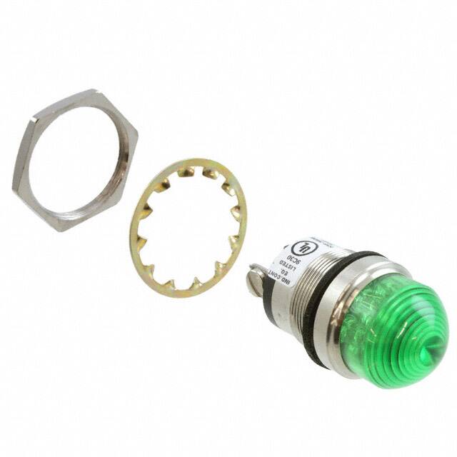 5563606304FDialight