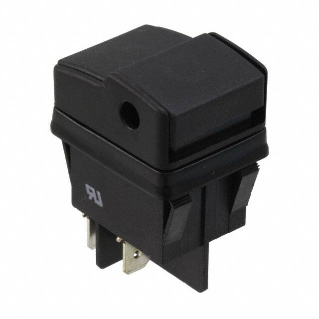 PB2L42D1100E-Switch
