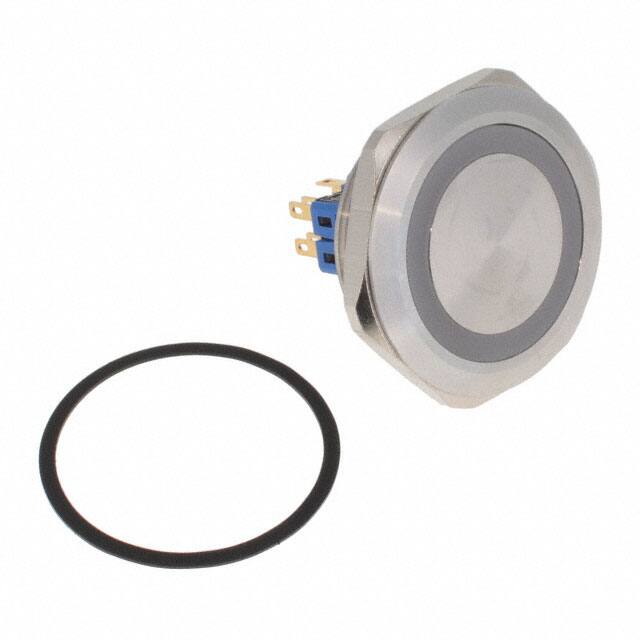 PV10F2V0SS-331E-Switch