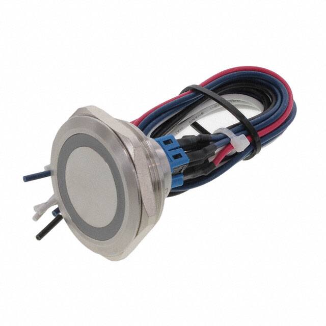 PV10FWU0SS-331E-Switch