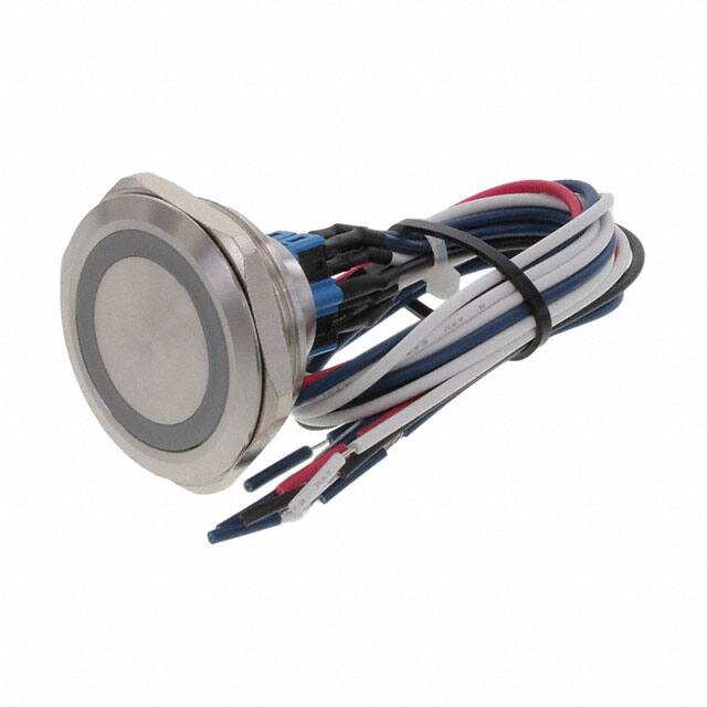 PV10FWU0SS-341E-Switch