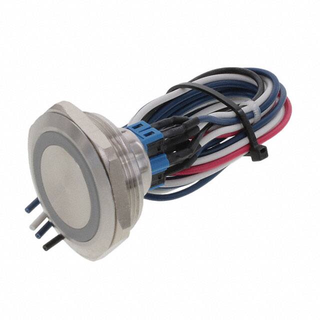 PV10FWV0SS-311E-Switch