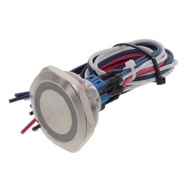 PV10FWV0SS-341E-Switch