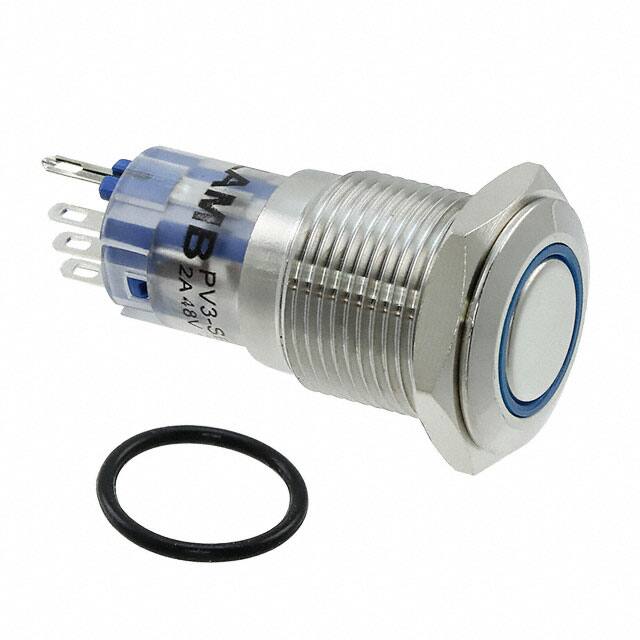 PV3WF2B0SSG-341E-Switch