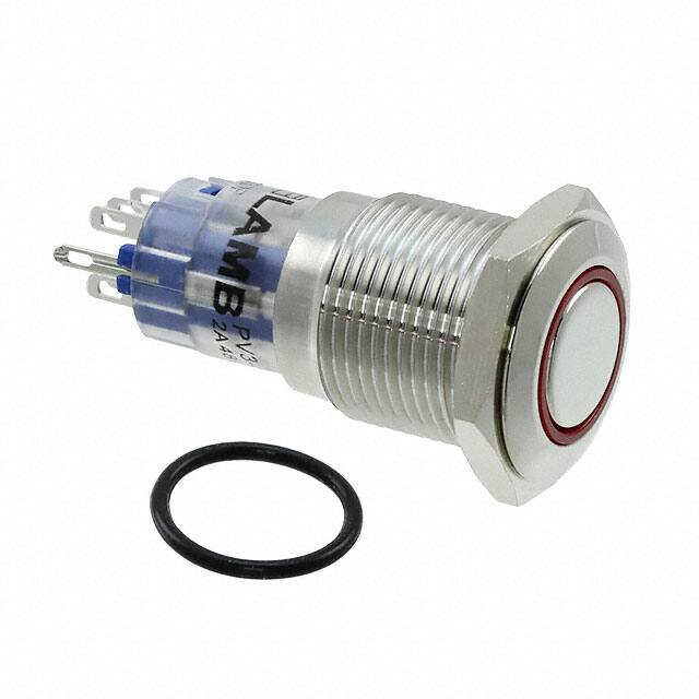 PV3WF2H0SS-315E-Switch