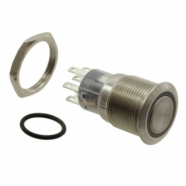 PV4F2G0SS-311E-Switch