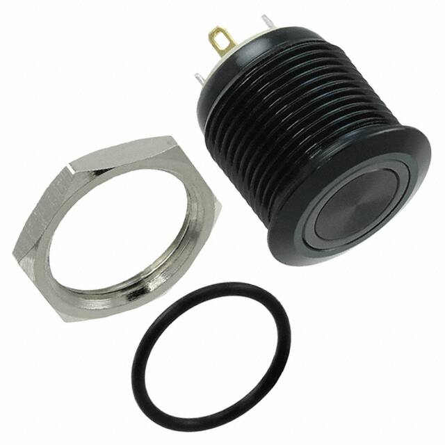 PV6F24011G-301E-Switch