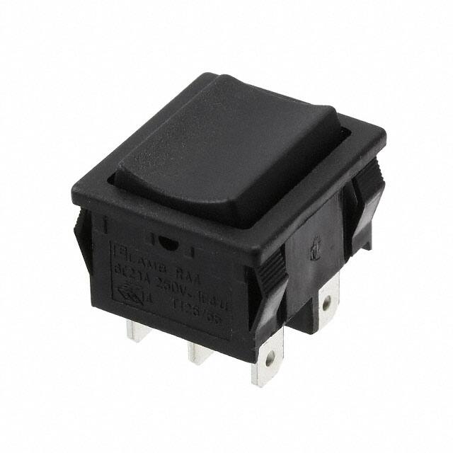 RA41631100E-Switch