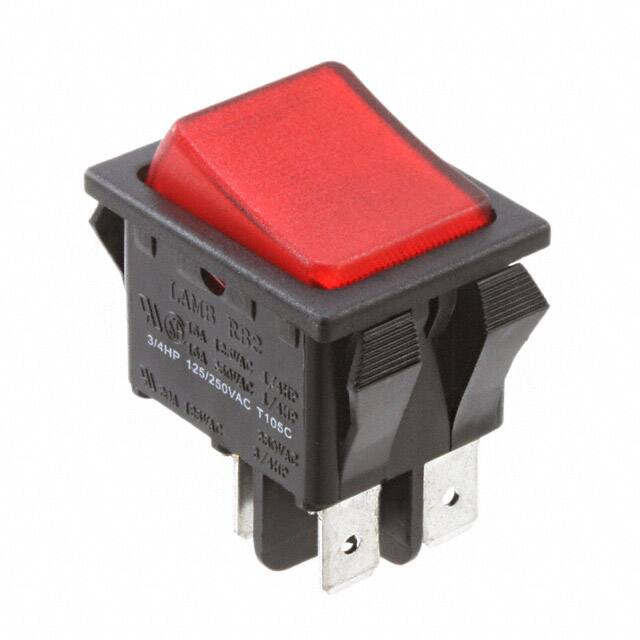 RB242D1000-116E-Switch