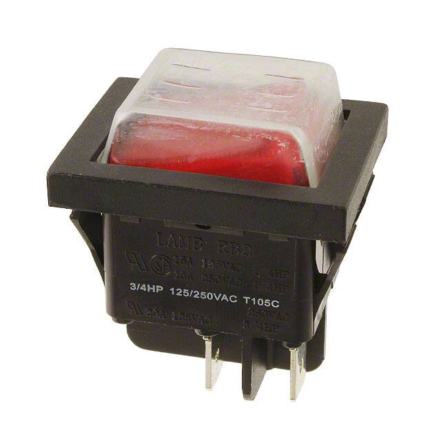 RB242D1021-116/ACC-F02-1E-Switch