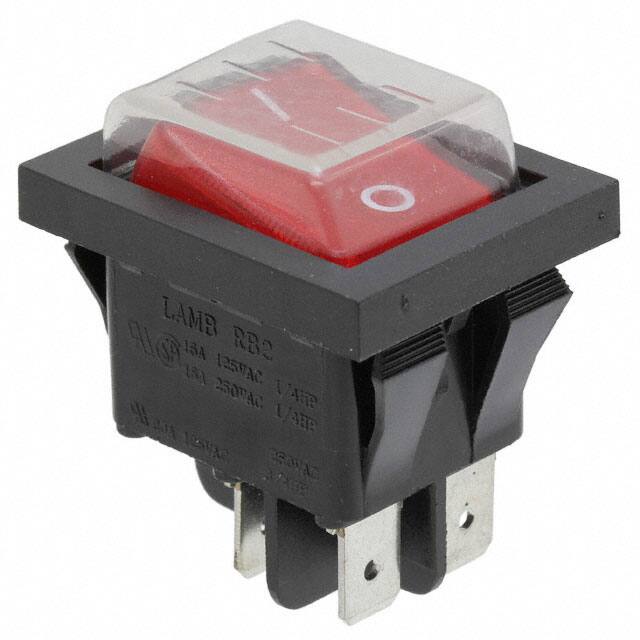 RB242D1021-117/ACC-F02-1E-Switch