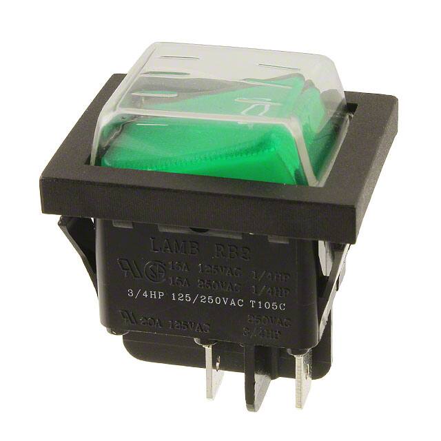 RB242D1021-136/ACC-F02-1E-Switch