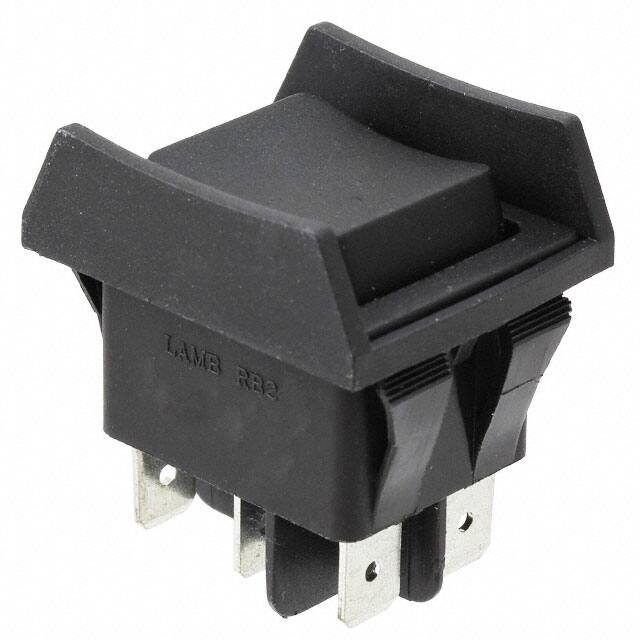 RB246E1100-ACC-F04-1E-Switch