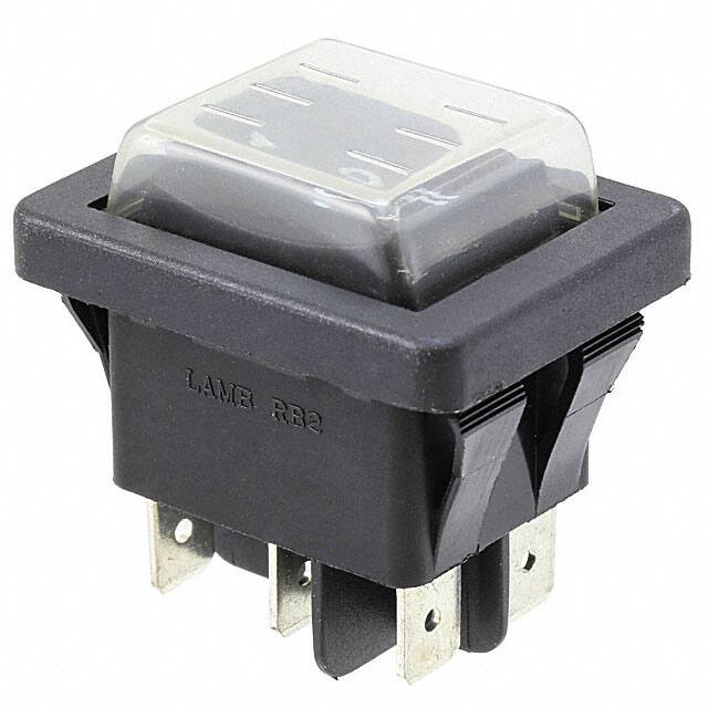 RB246E112S-ACCF02-1E-Switch