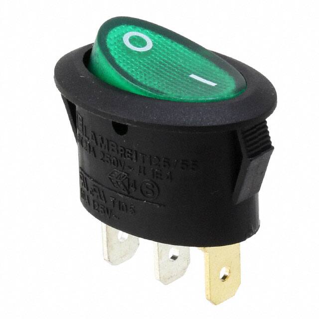 RE11131021-134E-Switch