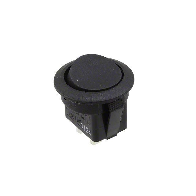 RR11131100E-Switch