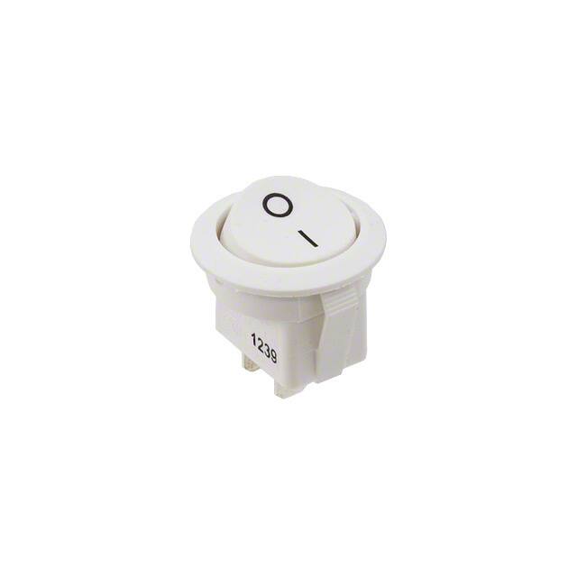 RR11132211E-Switch