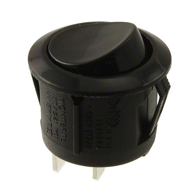 RRG31131100E-Switch