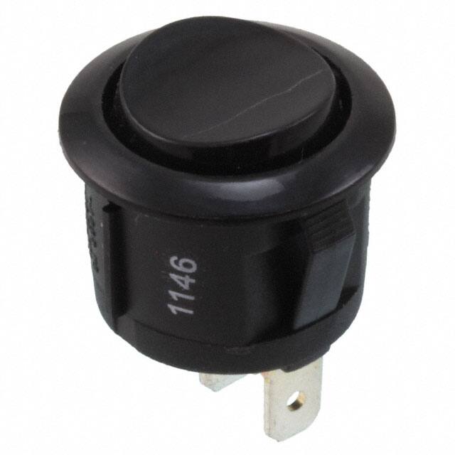 RRG31C31100E-Switch