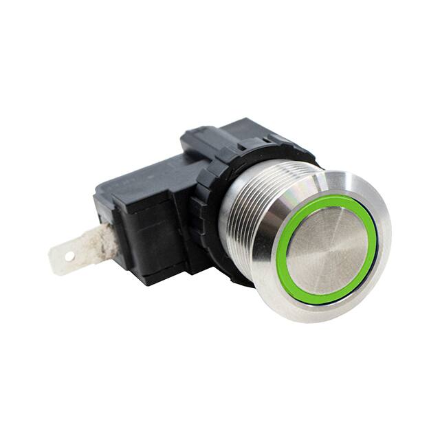 SAV4F13SS331E-Switch