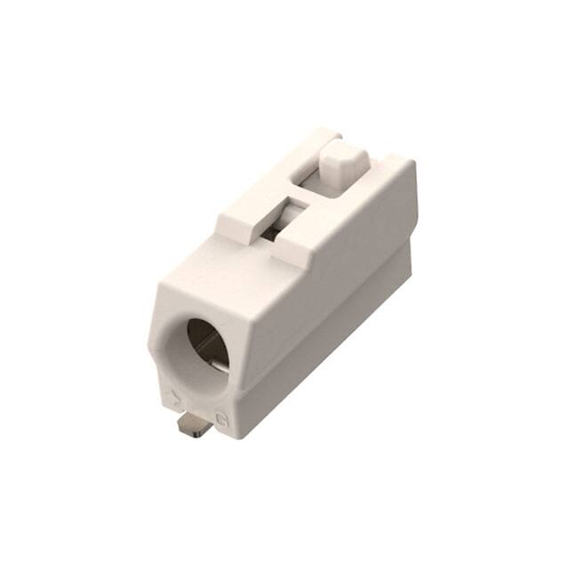 BL300-01-AGCT