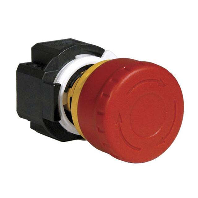XA1E-BV302-RIDEC