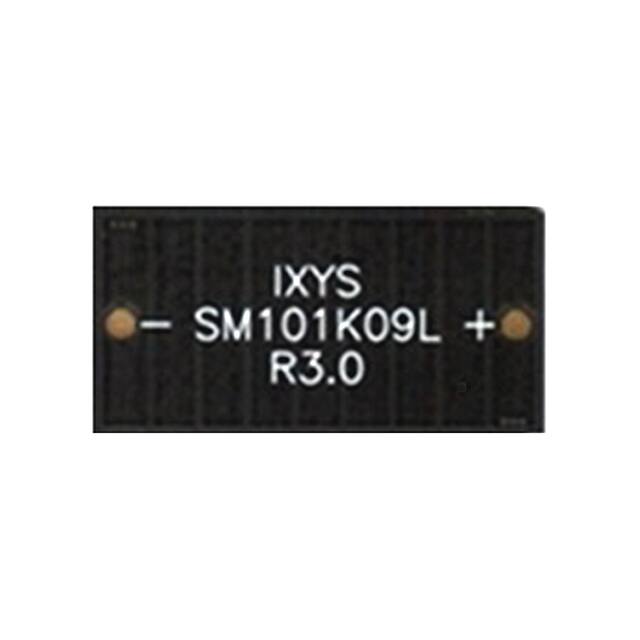SM101K09LIXYS