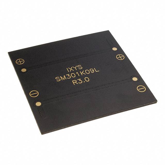SM301K09LIXYS