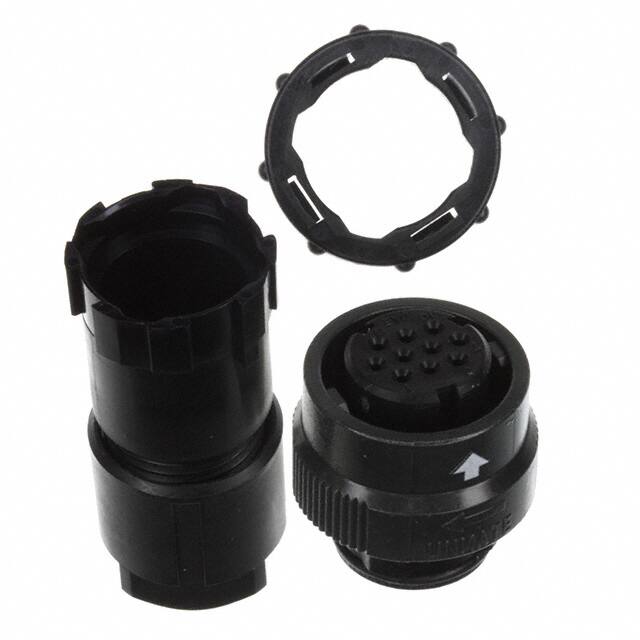 JN2DS10SL1-RJAE Electronics