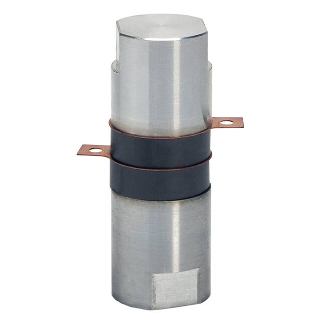 NBL15602SKEMET