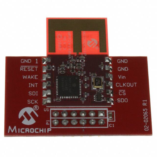 AC163028Microchip Technology