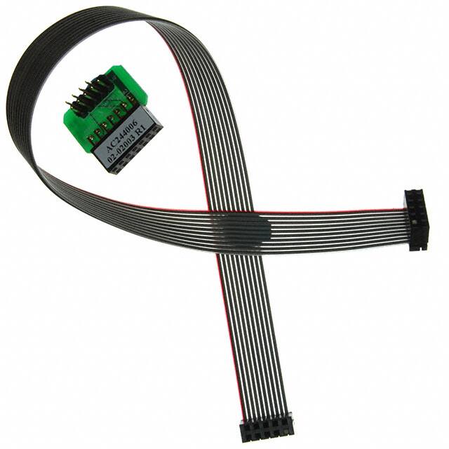 AC244006Microchip Technology