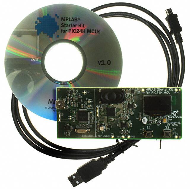 DM240021Microchip Technology