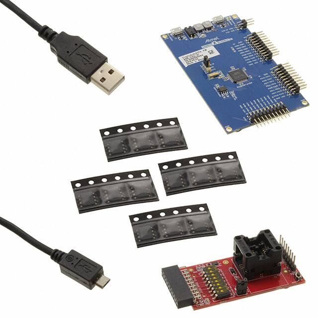 DM320109Microchip Technology