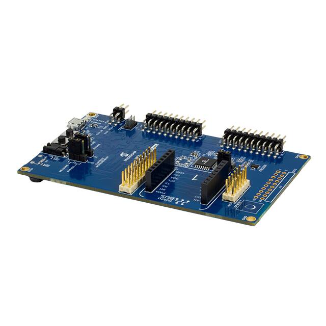 DM320205Microchip Technology