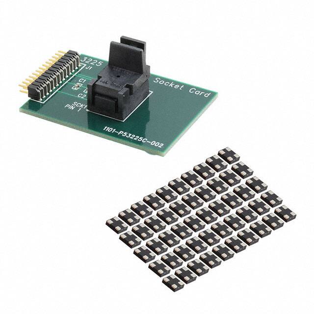 DSC-PROG-8004-3225Microchip Technology