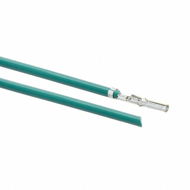 0002061101-05-G2Molex