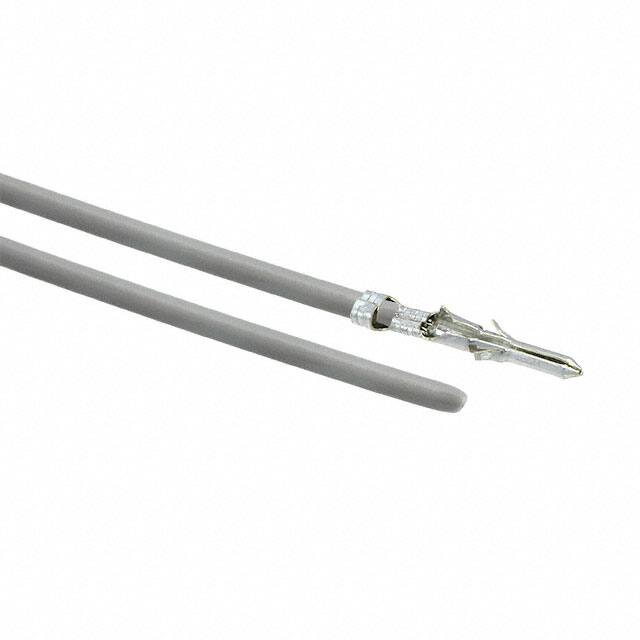 0002062101-04-S2Molex