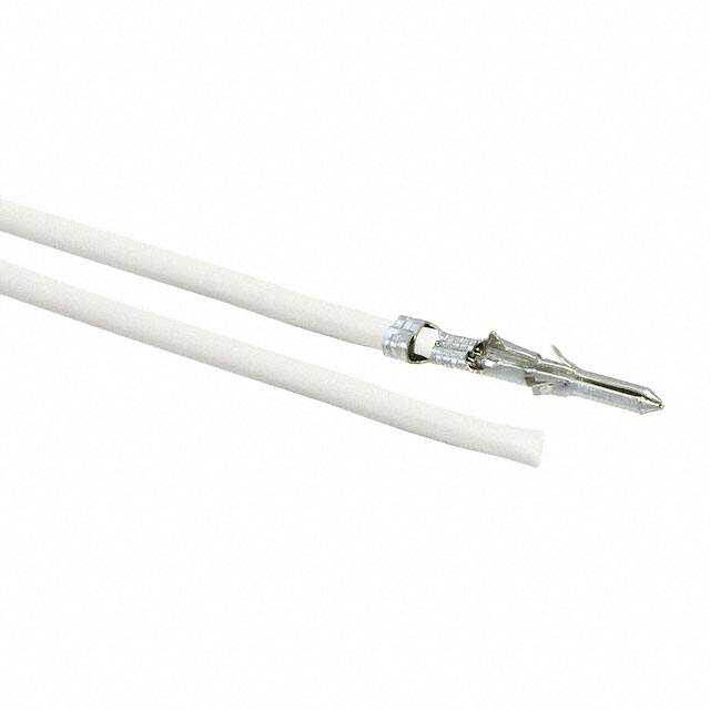 0002062101-02-W2Molex