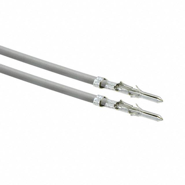 0002062101-02-S2-DMolex