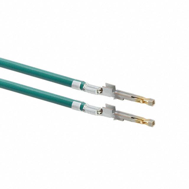 1722533011-08-G9-DMolex