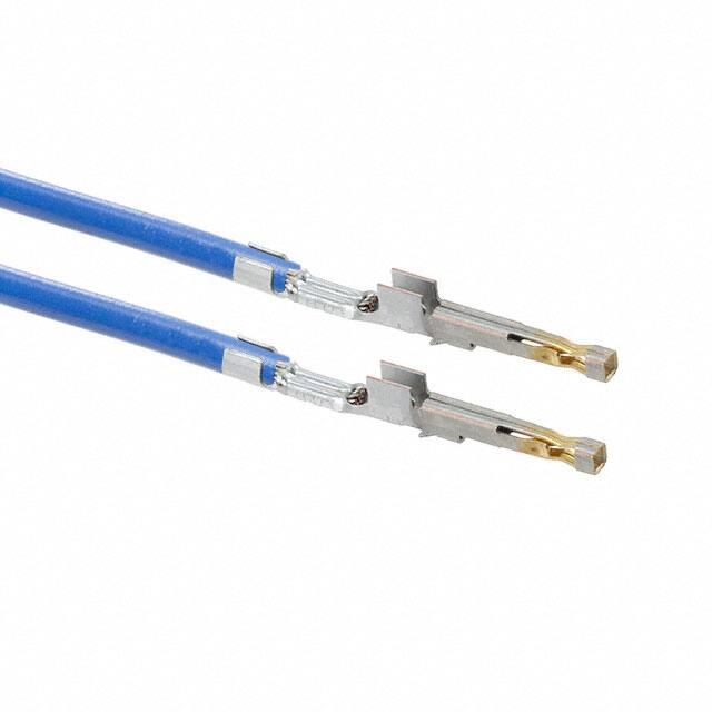 1722533111-02-L2-DMolex