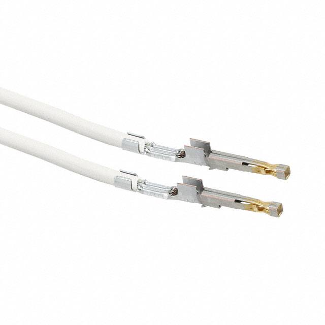 1722533111-02-W2-DMolex