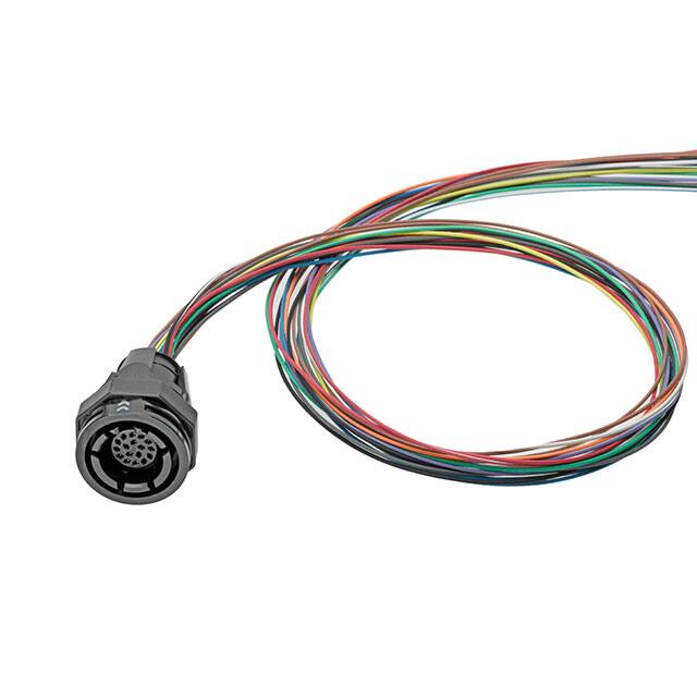 1728970002Molex