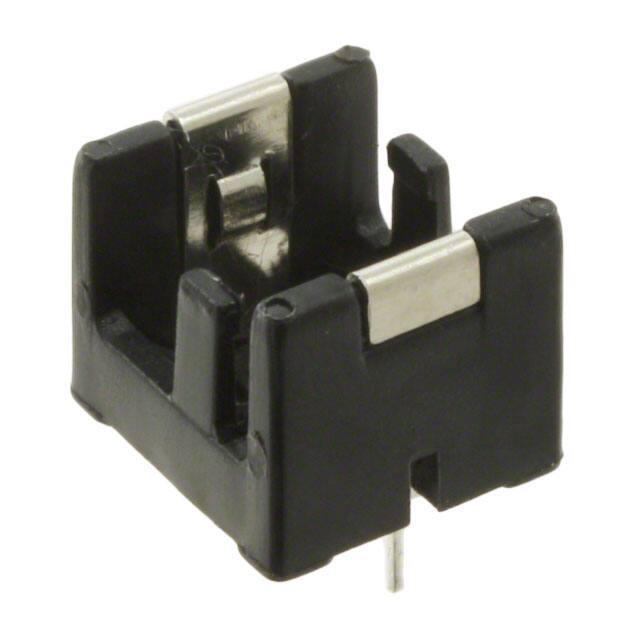 BC1/3NMPD (Memory Protection Devices)