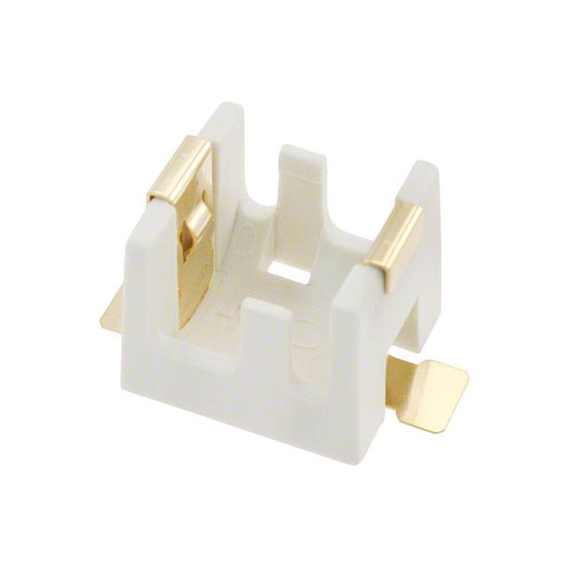 BC1/3N-C-SMMPD (Memory Protection Devices)