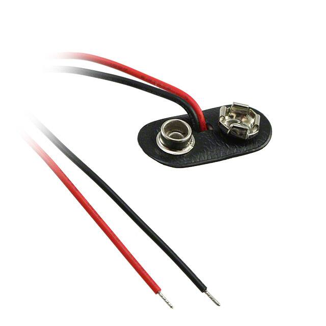 BS12TMPD (Memory Protection Devices)