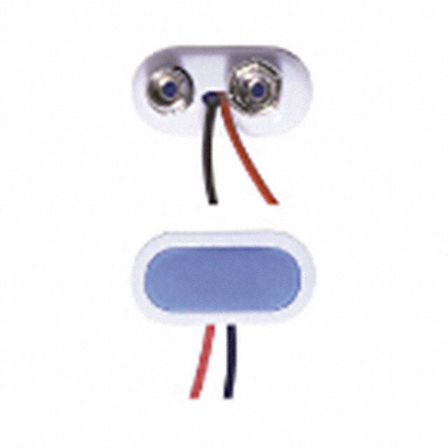 BS12T-MCMPD (Memory Protection Devices)